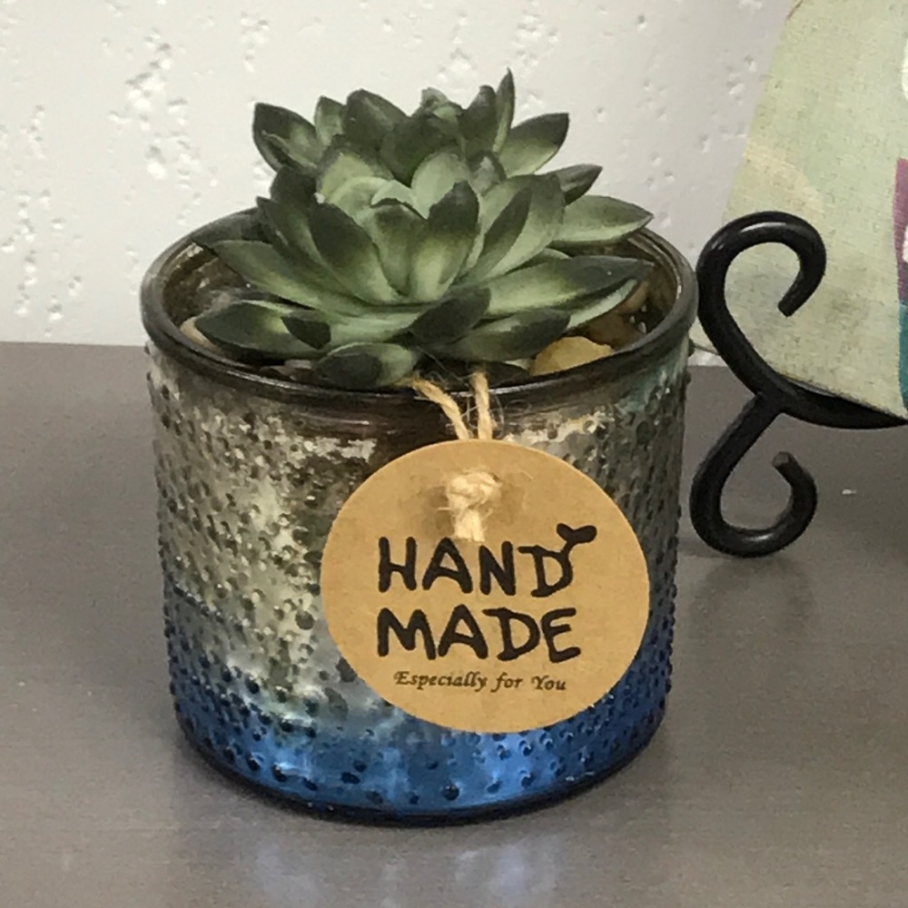 Silver & Blue Succulent Arrangement